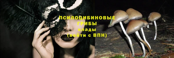 прущие крисы Балахна