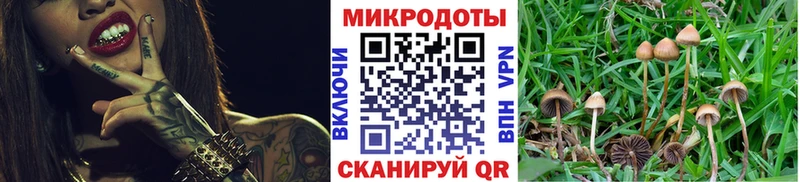 Галлюциногенные грибы Magic Shrooms  где купить   Нововоронеж 